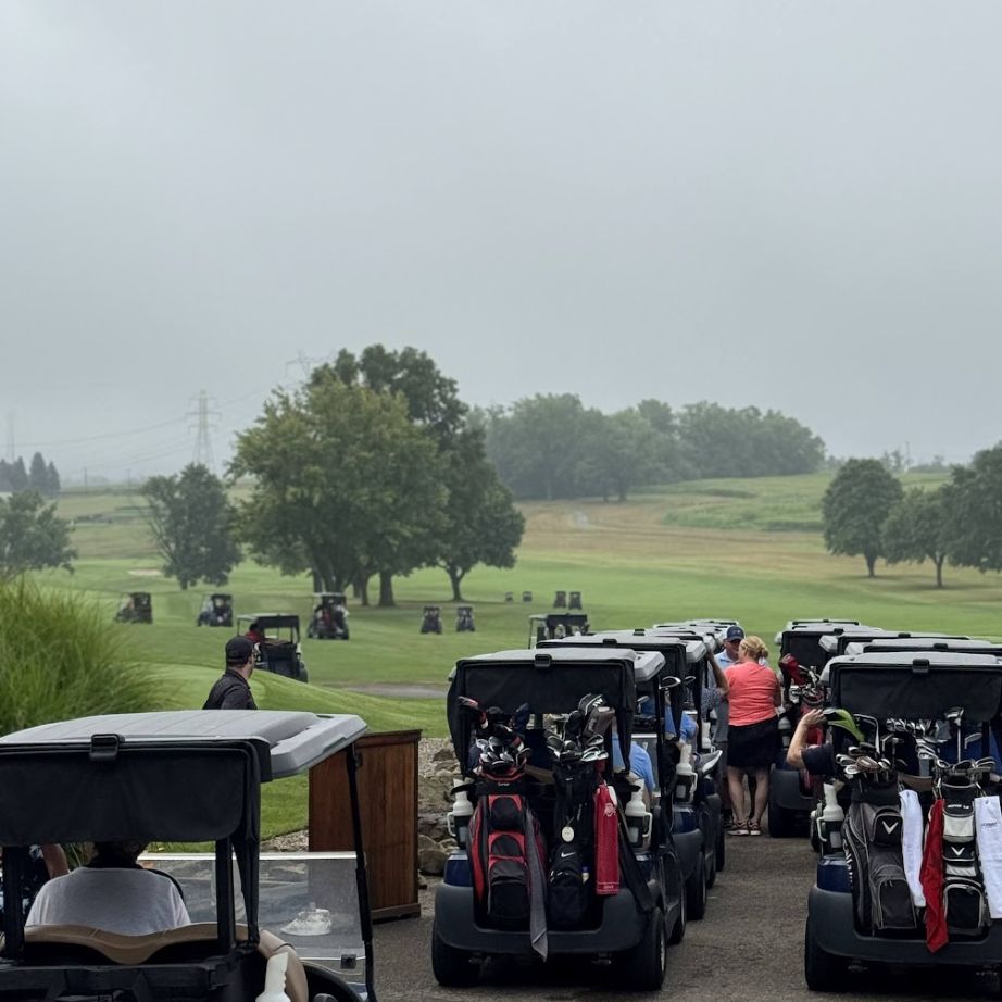 line of golf carts on golf course